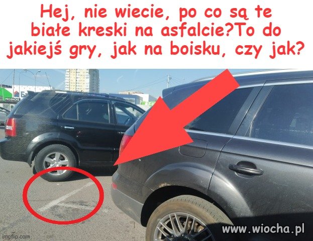 Koleżanka Dżesika się pyta,