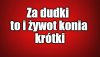 Górale, to tacy bogobojni ludzie i do kościółka chodzą...