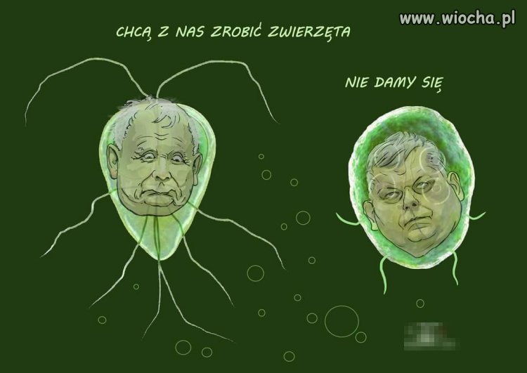 Chcą z nich zrobić zwierzęta