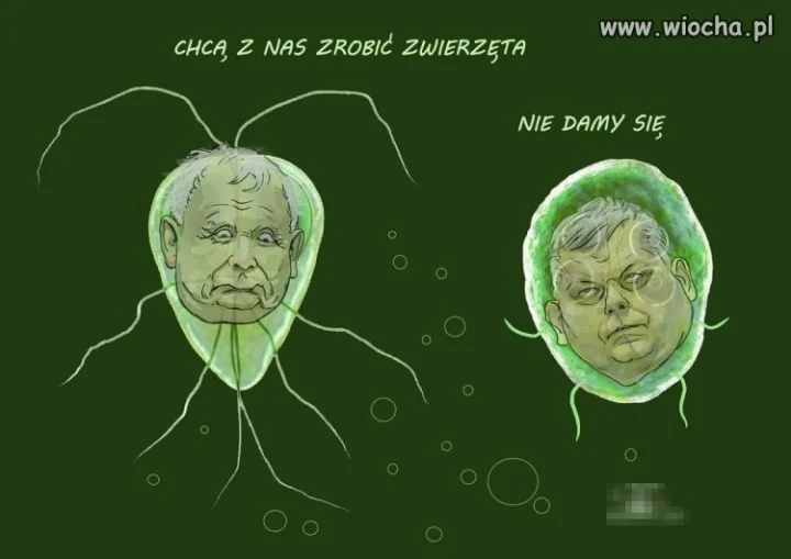 Chcą z nich zrobić zwierzęta