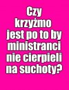 Kolega pytał