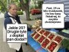 Bieda, panie, siem nie opłaco
