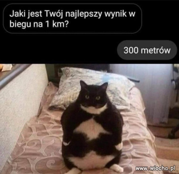 Wynik robi wrażenie