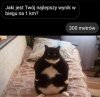 Wynik robi wrażenie
