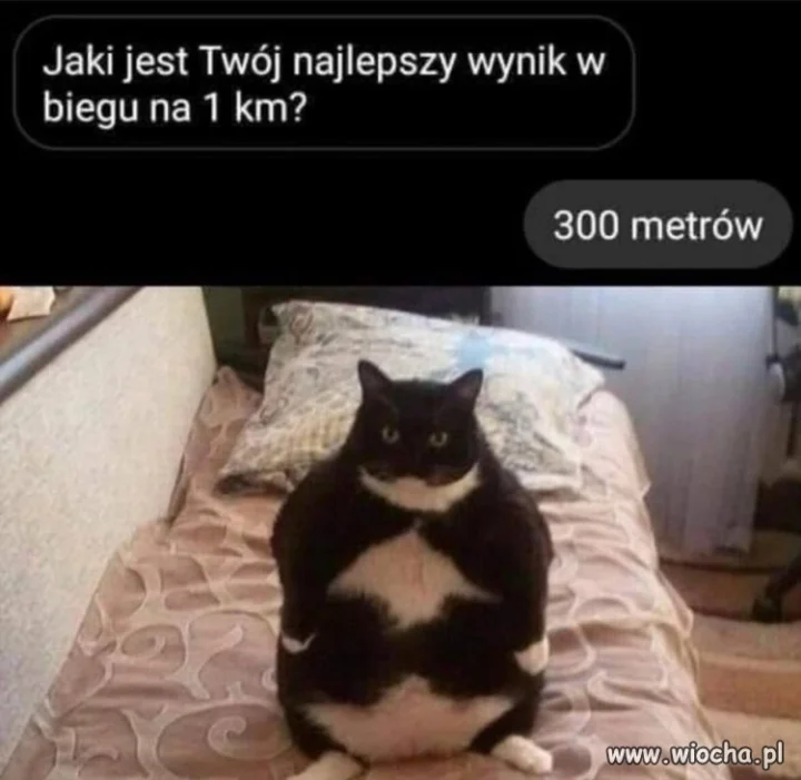 Wynik robi wrażenie