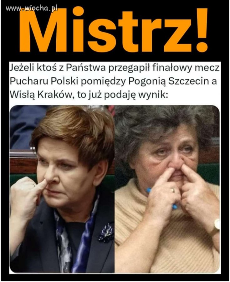 Pisoskie ynteligenty