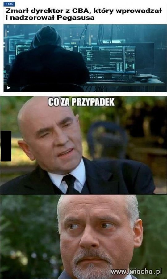 Przypadek