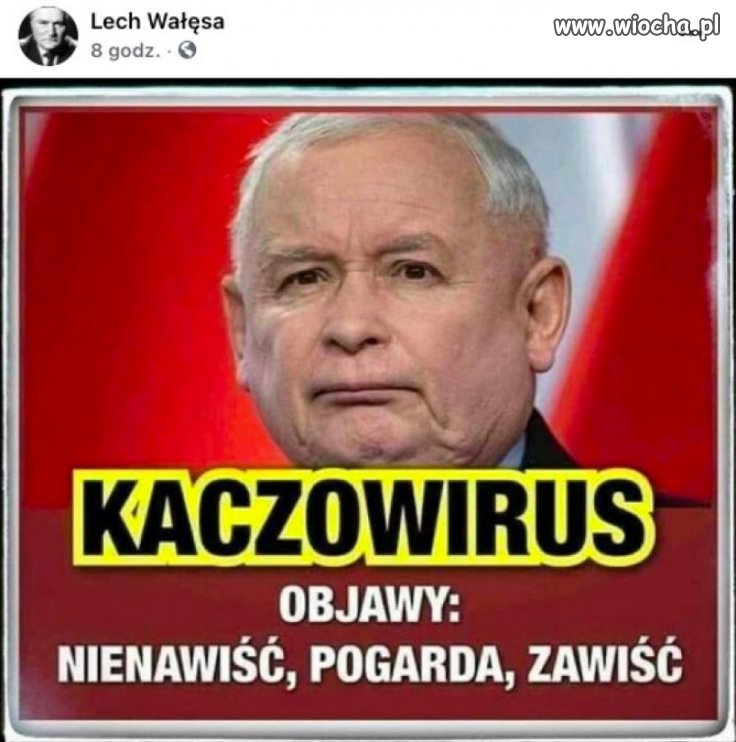 Nie bójcie się wirusa PiSu, on jest już w odwrocie