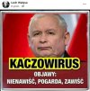 Nie bójcie się wirusa PiSu, on jest już w odwrocie