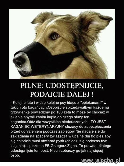 Apel przed latem