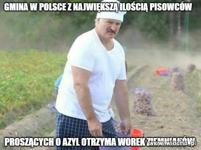 Jest nowy quiz w Polsce