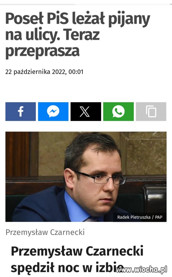 Ale chlają ci z PO