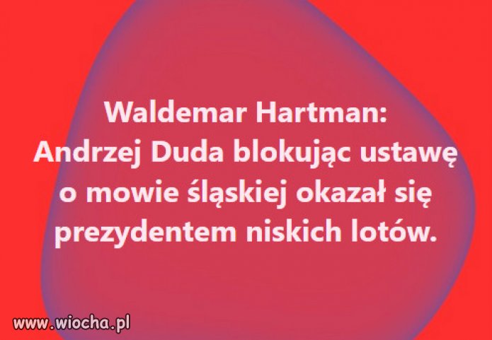 Duda to nielot Kaczynskiego...najmadrzejszego na swiecie!