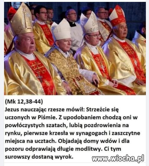 Złote algi