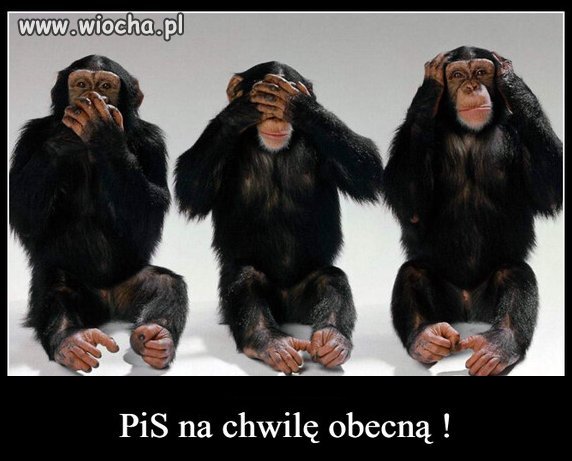 W każdej sprawie