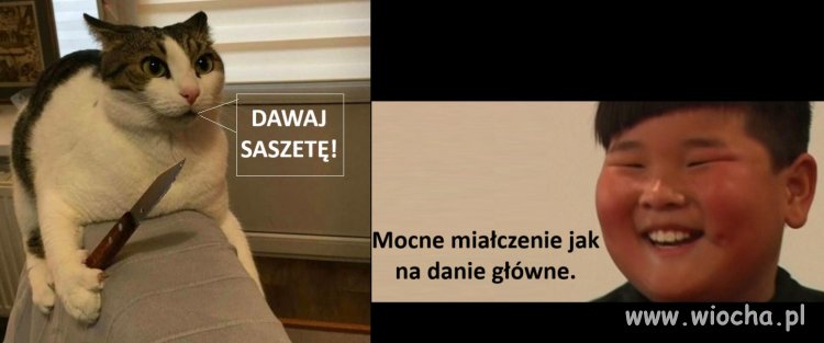 Danie główne