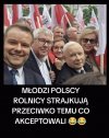Pisdowscy hipokryci