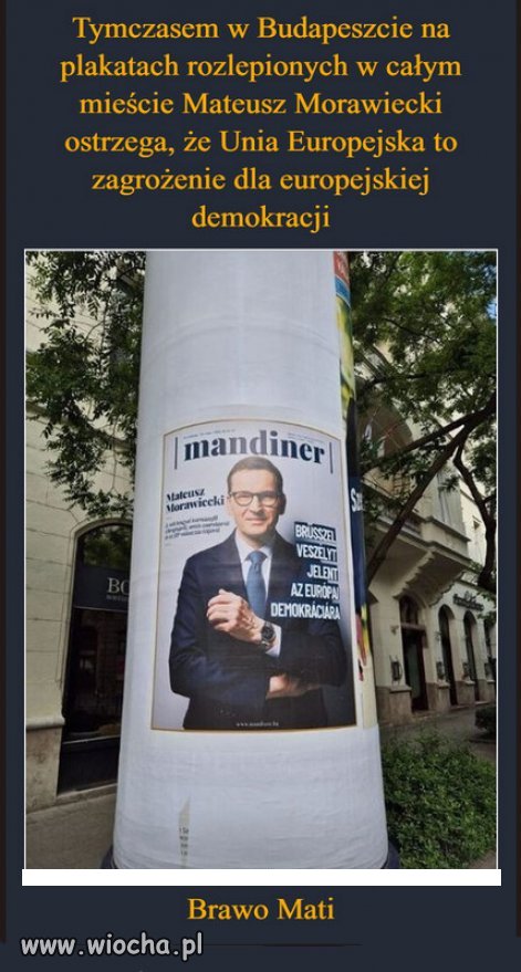 PiS pokazał swoje prawdziwe oblicze..."Przyjaciół Putina"