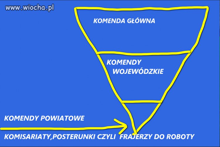 Graficzna struktura zatrudnienia