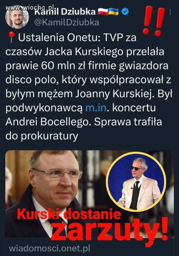 Kurski ty pisowski knurze