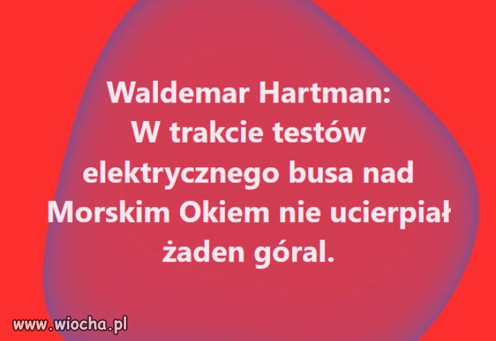 Ale kwik góralski słychać w całym necie ...