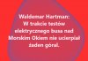 Ale kwik góralski słychać w całym necie ...
