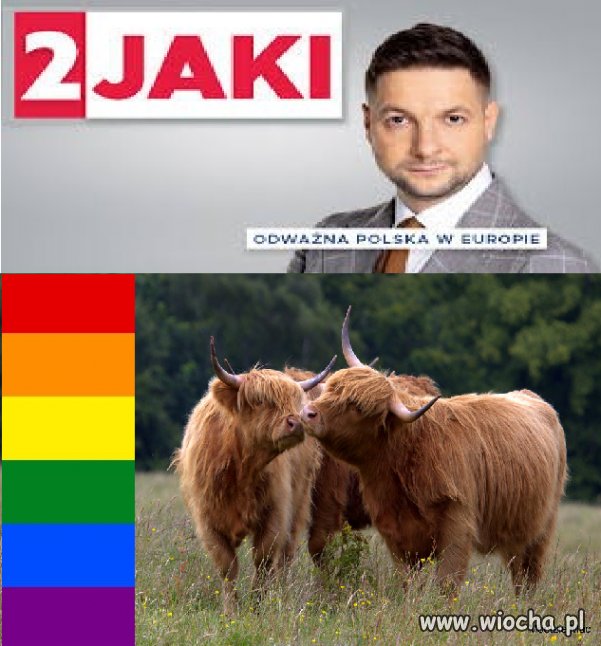 Majaki Jakiego