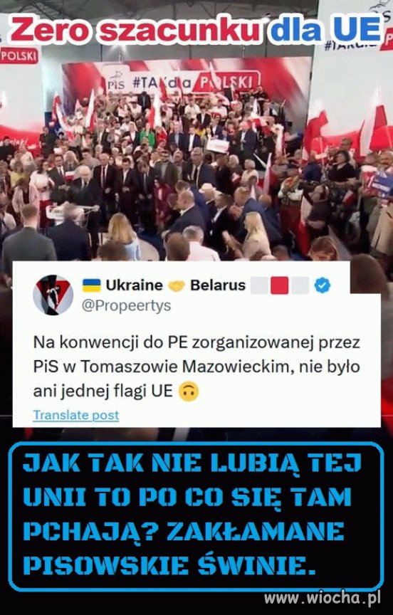Zakłamani pisowscy