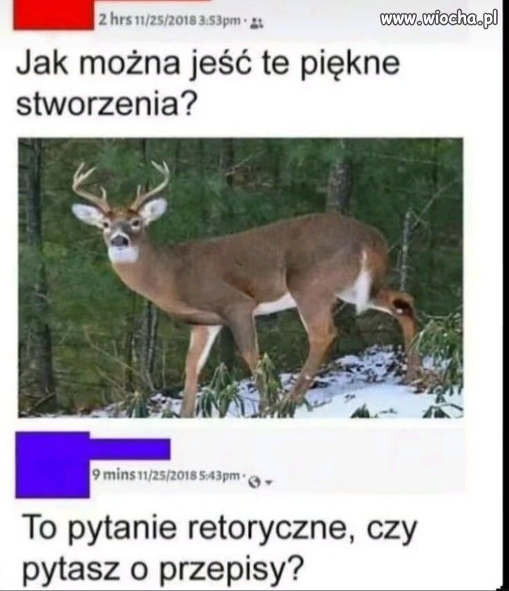 To się nazywa 