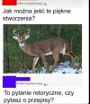 To się nazywa 
