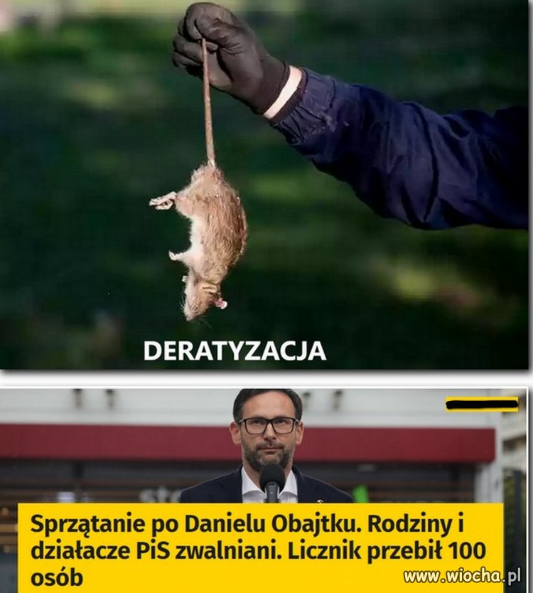 Obsiadły pisuary instytucje