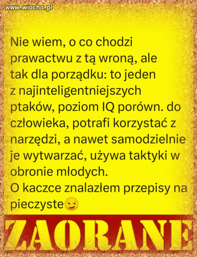 Tyle w temacie