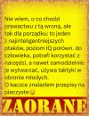 Tyle w temacie