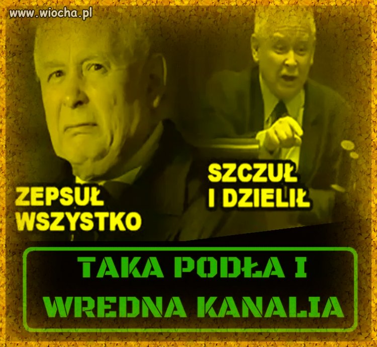 Człowiek sqrwiel