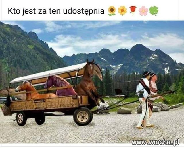 Jestem za a Wy ?
