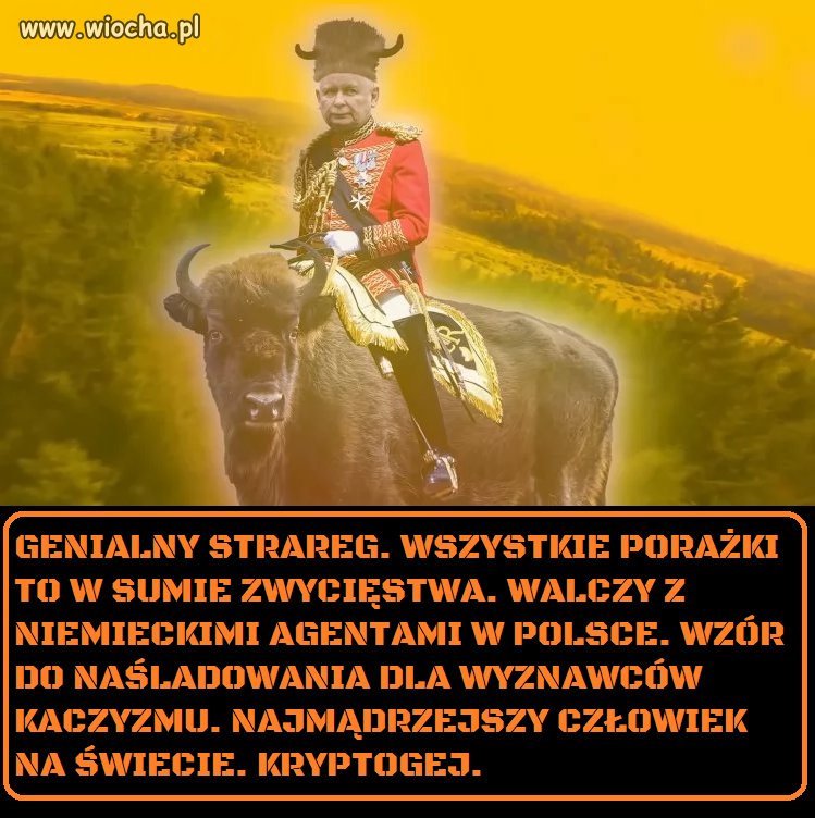 Krótkie podsumowanie tego osobnika