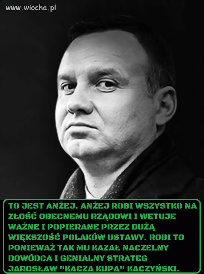 Sługus i popychadło Kaczyńskiego