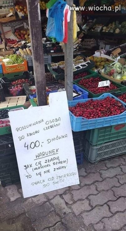 Praca szuka człowieka 