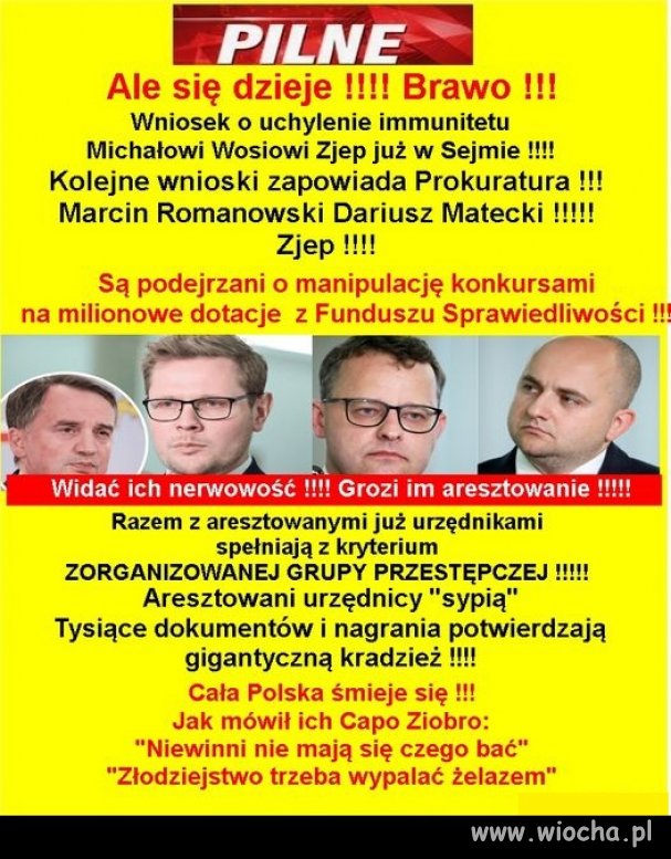 Pierwsze koty za więzienne płoty ...