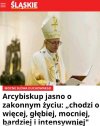 Jak w Dąbrowie Górniczej