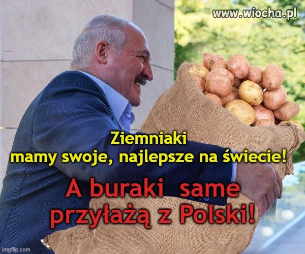 PiSowskie elity
