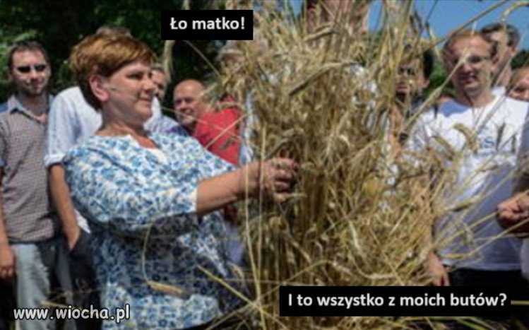 Oborowa z brochą, na kampanijnym szlaku.