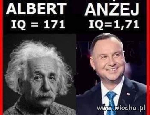 Tak to wygląda, niestety Żulczyk miał rację ...