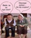 Gdy twój osioł źle się czuje 