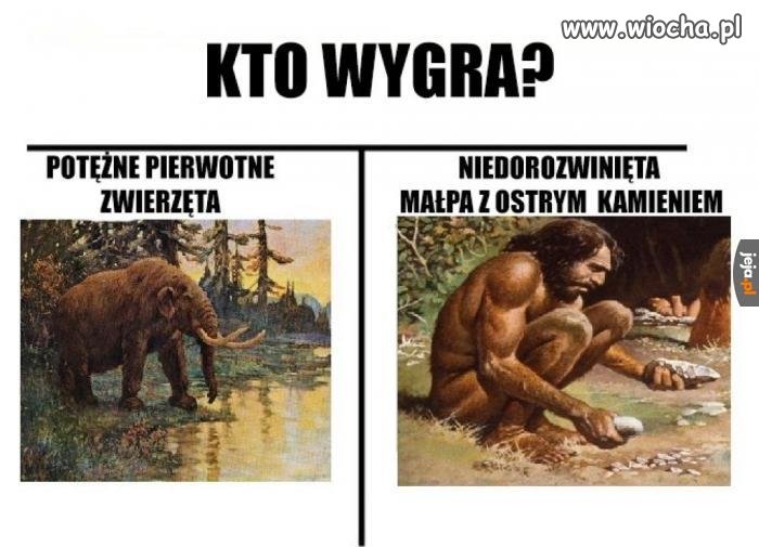 A wygrywa...