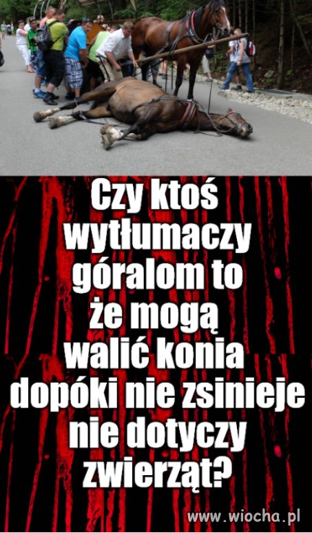 Kler ma to w dupie, czyli nikt