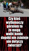 Kler ma to w dupie, czyli nikt