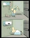 Humor.   