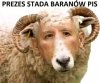 Jaki WUC, takie stado...