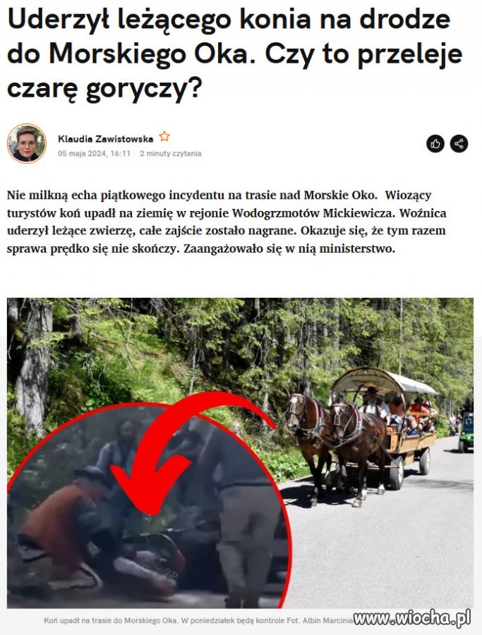 Całe zajście zostało nagłośnione przez fundację Viva